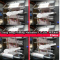 High Speed 4 Colour Non-Woven Flexo Printing Machine (CH884)